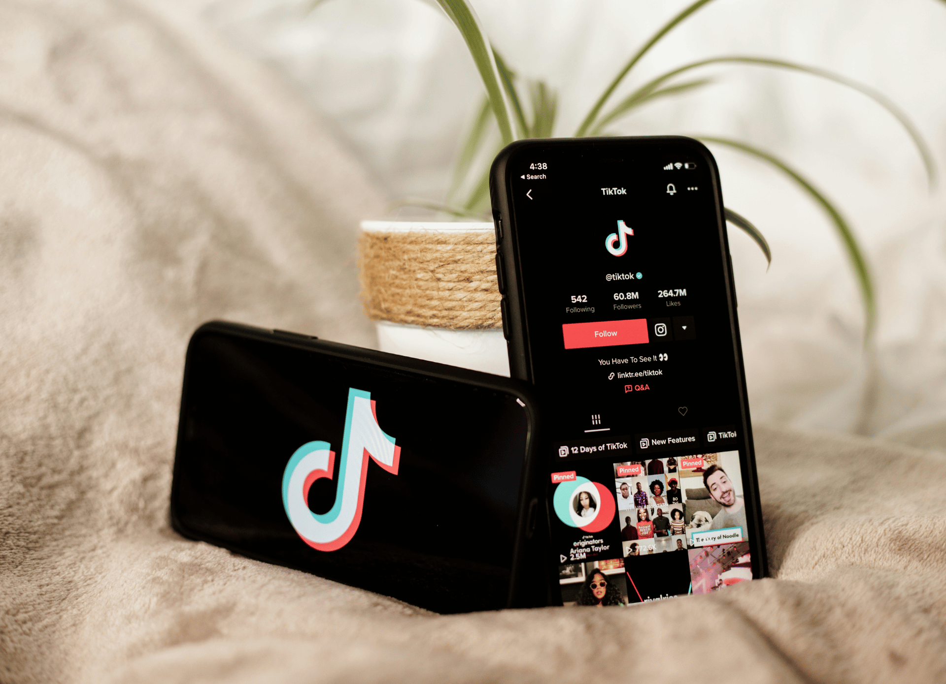 100M+ TikTok views across client campaigns